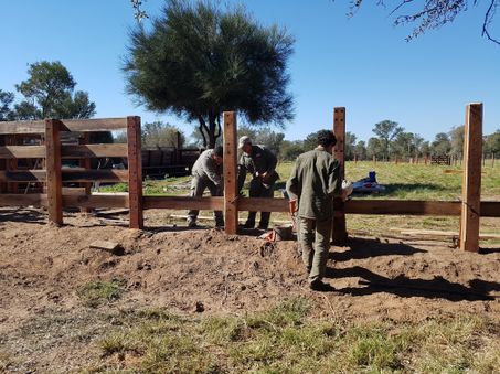 Odoo - Prueba 3 a tres columnas