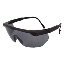 [50131] ANTEOJO ARGON LIBUS GRIS / NEGRO